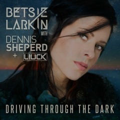Betsie Larkin with Dennis Sheperd & Liuck - Driving Through The Dark (Dennis Sheperd Club Mix Edit)