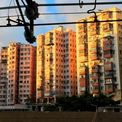 frozen friend - lushroom & quibby