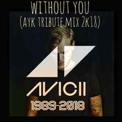 Without You ( AYk Tribute Mix )