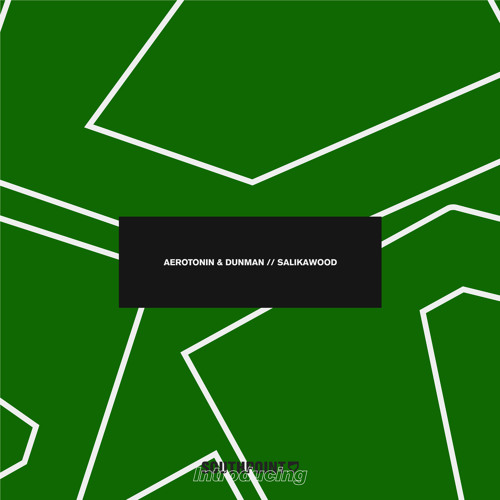 Aerotonin & Dunman - Salikawood [FREE DOWNLOAD]