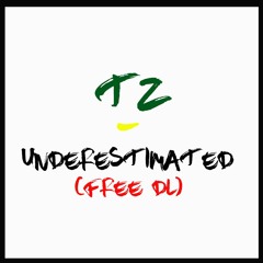 TZ - Underestimated (Orginal Mix)