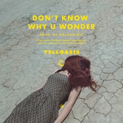 Don't Know Why U Wonder (Prod. Holymoley!)