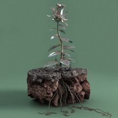 Aaron Richards & Octave Up - Grow