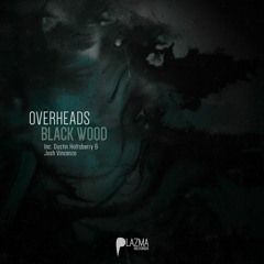 Overheads - Guitar Hero (Dustin Holtsberry Remix)