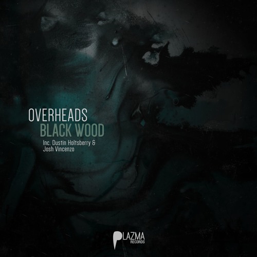 Overheads - Guitar Hero (Dustin Holtsberry Remix)
