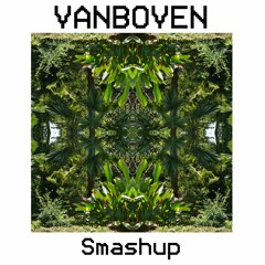 Toxic Bitch (VAN BOVEN Smashup)