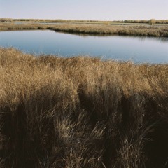 Matteo // Soundscapes