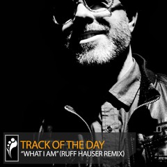 Track of the Day: Grensta “What I Am” (Ruff Hauser Remix)