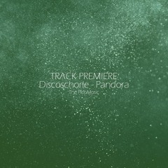 Exclusive Premiere: Discoschorle - Pandora - THE PLOTmusic