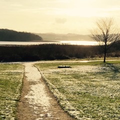 I Can't Make You Love Me