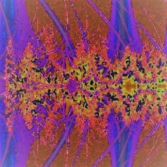 FEMINATRONIC #29 - Ambient Differences