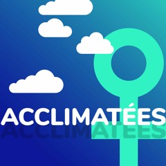 La politique du genre (made with Spreaker)