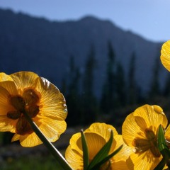 THE CIRCLE IN THE SQUARE no. 9, “Synchronous / Asynchronous Cycles of Movement”