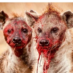 Trendi - No Promises Mix