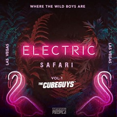 PR037 :: THE CUBE GUYS (Live Guest Mix) :: ELECTRIC SAFARI LAS VEGAS SPECIAL EDITION (FREE DOWNLOAD)