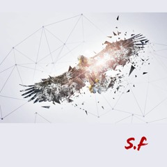 ✦ INFINITE EXPLORATION BY SILMARWEN FAELIVRIN ✦  ALBUM METAMORPHOSIS
