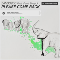 Please Come Back (Feat. Danit Shlapok)