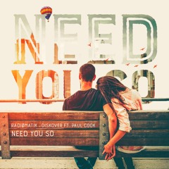 RADIØMATIK & Diskover - Need You So ft. Paul Cook (Extended Mix)