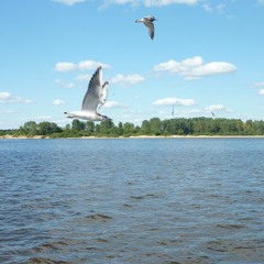 Reca (Live Progressive House Improvisation)