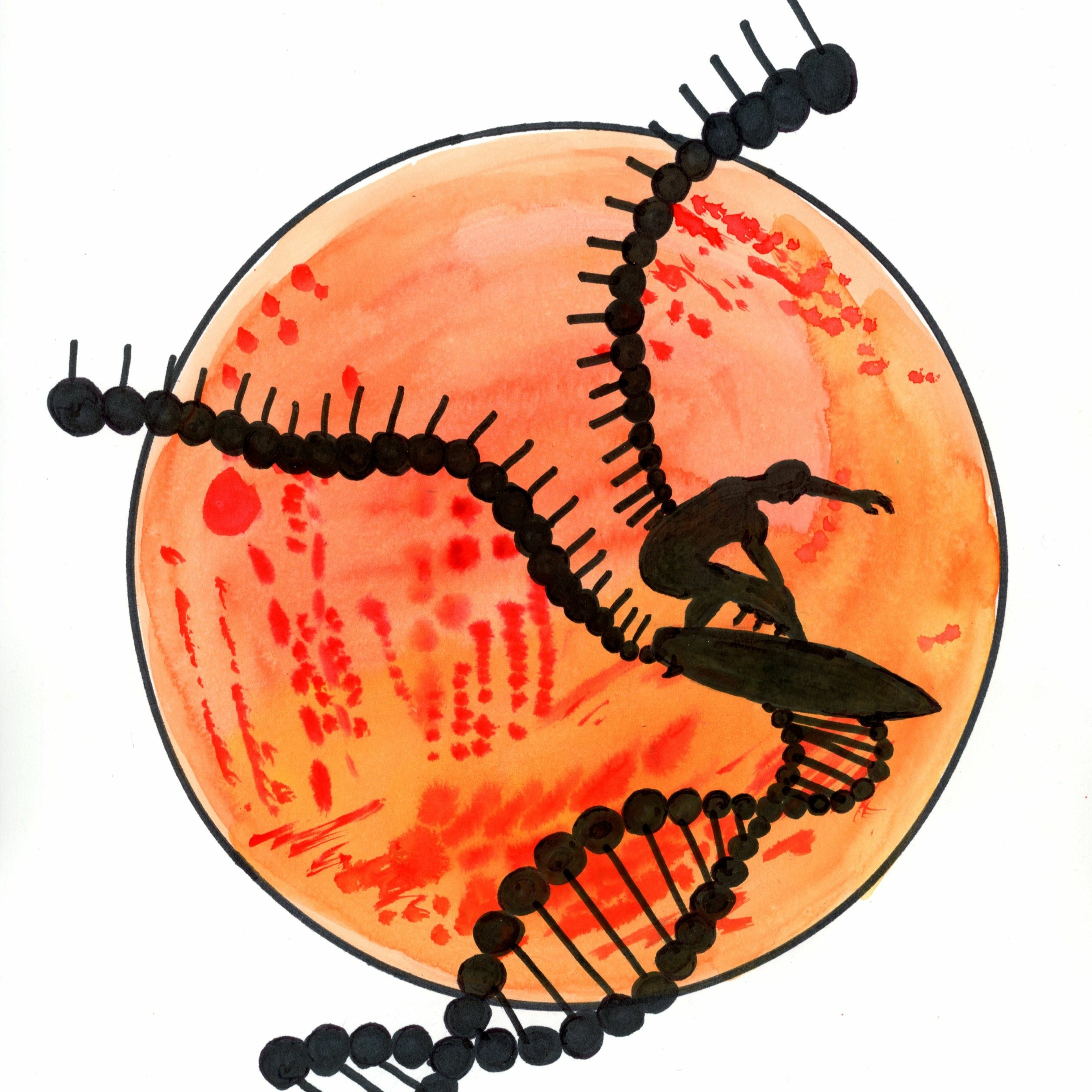 RadioBio