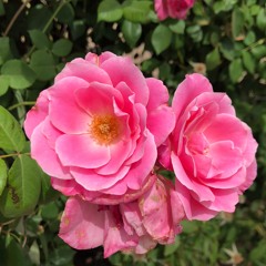 Esparza x Patti B (Prod. Saavane)