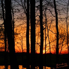 Alive (feat. ficttion)