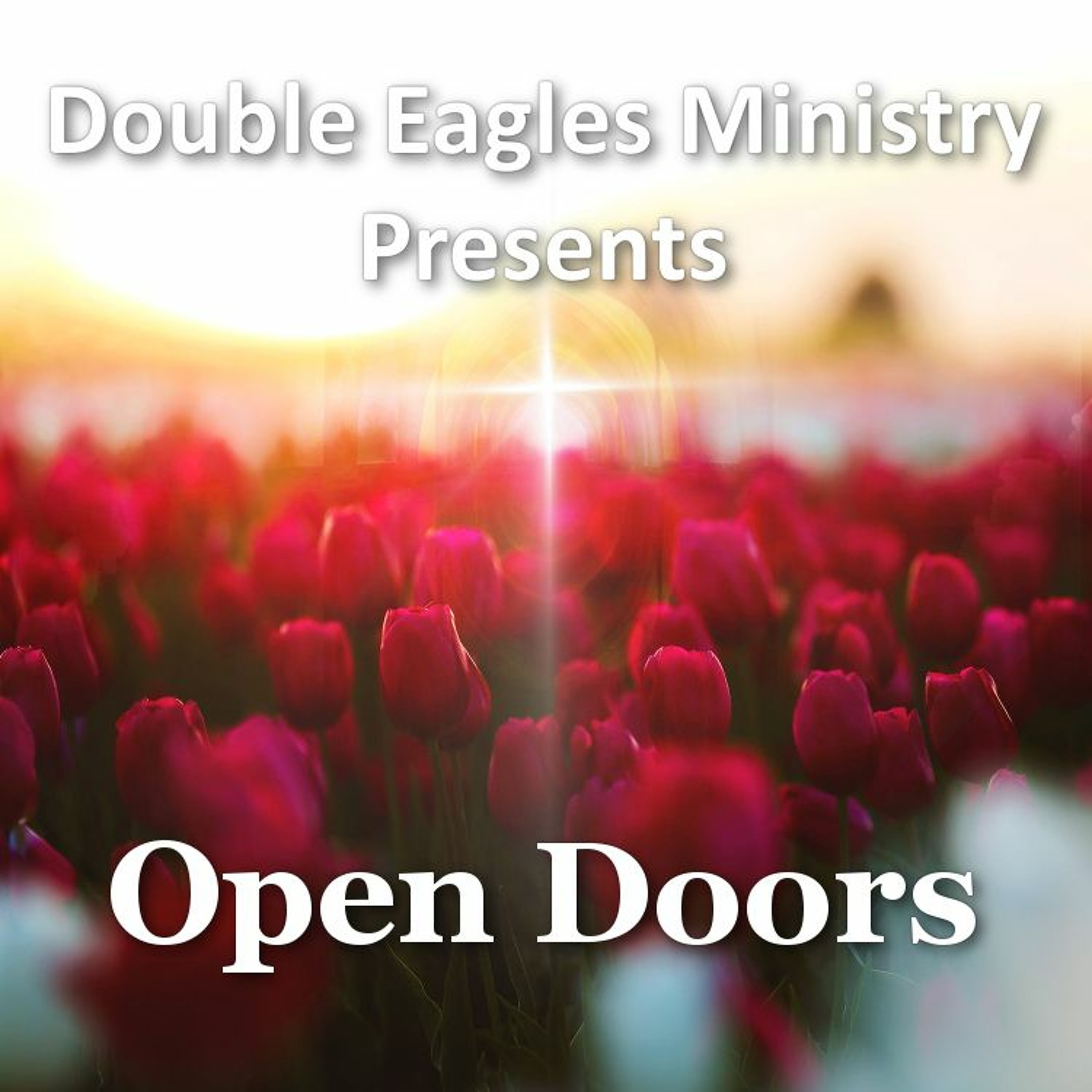 Open Doors episode artwork