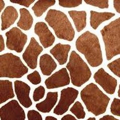 Girraffe Spots Act 1 And 2
