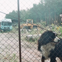 Climbing Up My Skirt