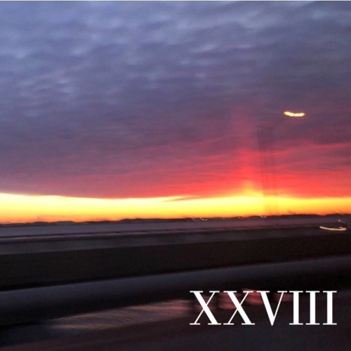 XXVIII