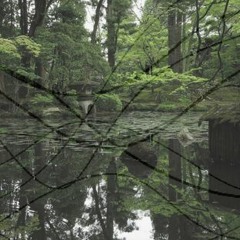Place Waves (May 2018)