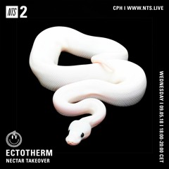 Ectotherm on NTS | Nectar Takeover | 09.05.18