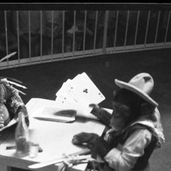 Didi Deliver The Gun