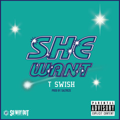 She Want (prod by Saltreze)