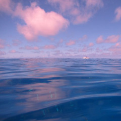 Masoud Ft Jose - Leave It All Behind (PrOmid Remix)