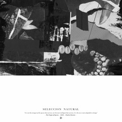 Preview -  Seleccion Natural - Seleccion Natural - Polegroup50