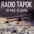 Artwork for RADIO TAPOK - Night Witches (Sabaton cover)