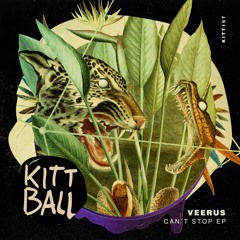 Veerus - Can't Stop Won't Stop