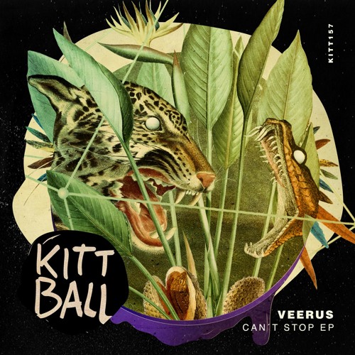 Veerus - Can't Stop Won't Stop