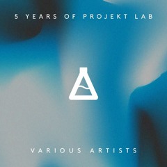 This Is All We've Got (Projekt Lab)