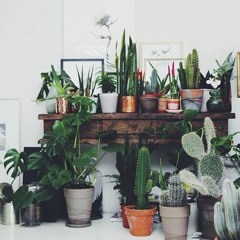 Tipping and Whispering