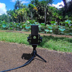 User Sample - Field Recording (Playground Rotating Base) - LCT 540 S - Recorded by Daniel Meuser