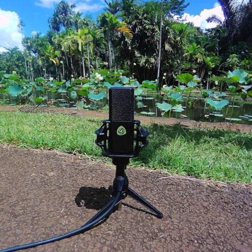 User Sample - Field Recording (GR FOL AllLayers Sum) - LCT 540 S - Recorded by Daniel Meuser