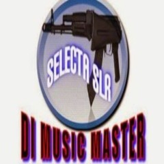 Selector SLR Mixes