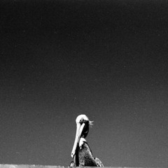 Language - "Into and out Of"