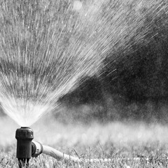 Sprinkler