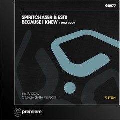 Premiere: Spiritchaser and Est8 - Because I Knew Ft Emily Cook (Club Mix) - Guess Records