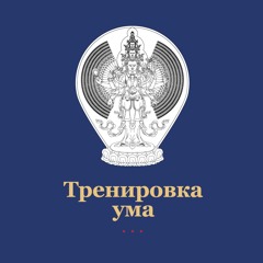 Сценарии нашей смерти