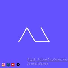 Pitbull - I Know You Want Me (Aurelios Remix)