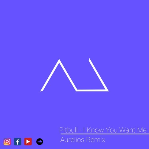 Pitbull - I Know You Want Me (Aurelios Remix)